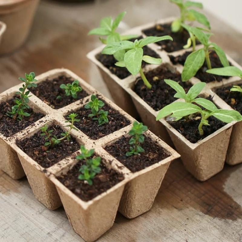 Degradable Pulp Seedling Pot Watermelon and Strawberry Breeding Pots Nutrient Pots Cultivation Cup Planting Pot Nutrition Cups