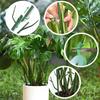 Stackable Plant Support Garden Potted Flower Tree Branch Plants Stakes Home Garden Decoration Support Racks with Clips Straps