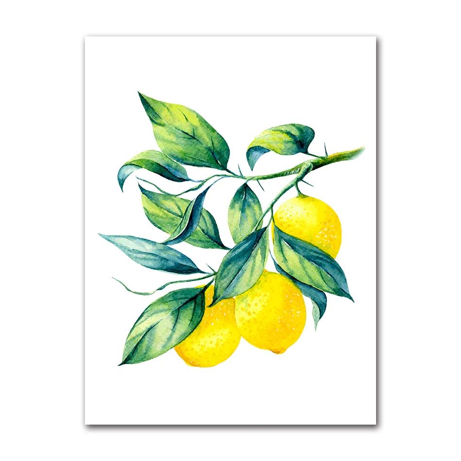 Bonsai Canvas Painting Art Blue White Willow Style Lemon Poster Kitchen Decor Lemon Print Planter office decoration