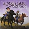 Casey Sue Thornton by Wayne M Hoy Hardback Book 9781728369280