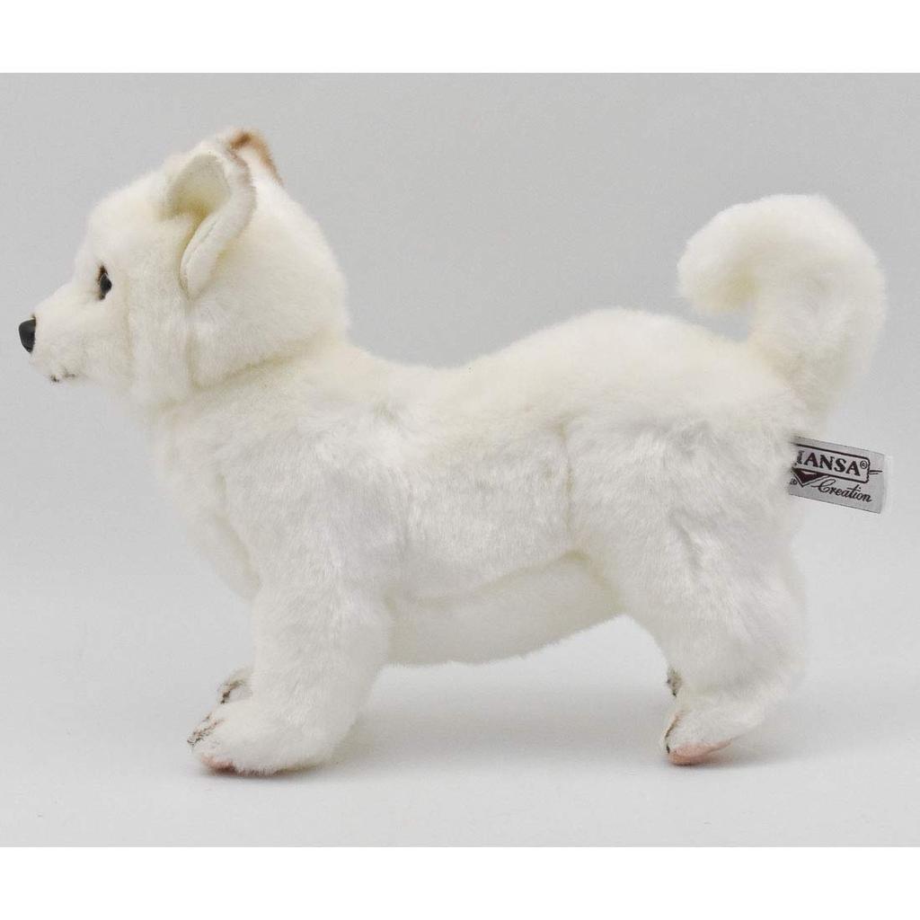 BH6342 HANSA Hokkaido Ken 33