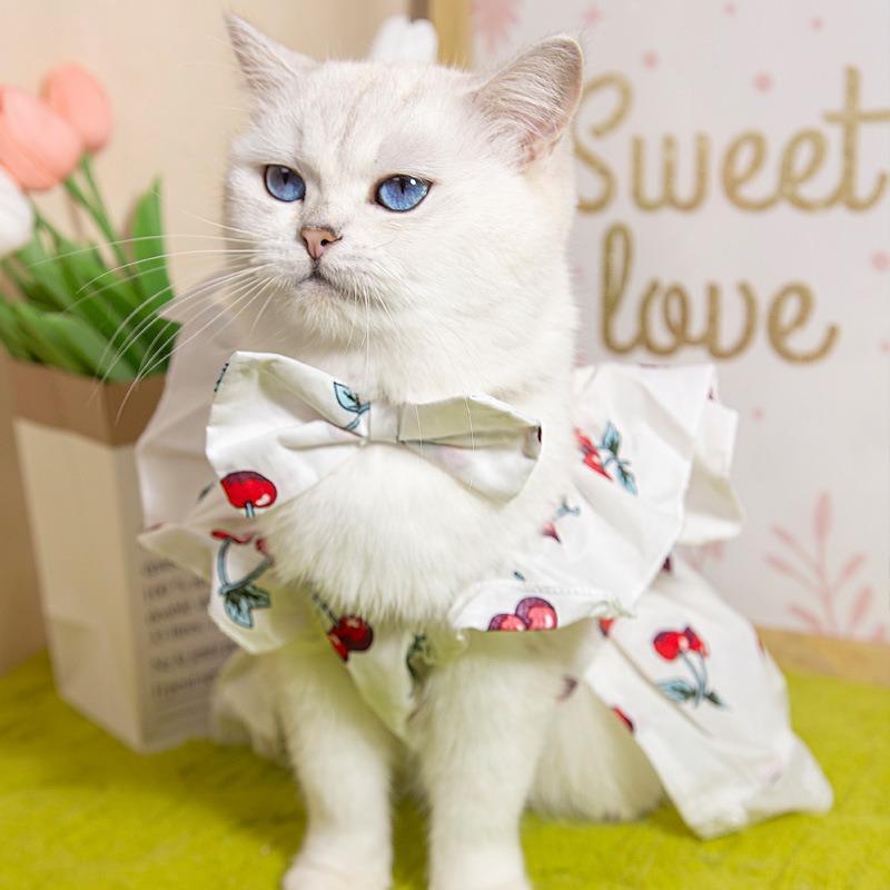 Source Manufacturer Pet Clothes, Cat Clothing Wholesale Dog Clothes