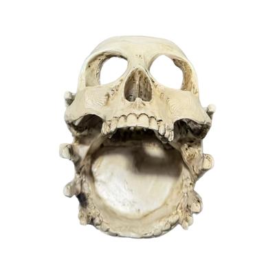 Gothic Skull Resin Rings Holder With Multifunctional Use As Jewelry Tray Or Ashtray