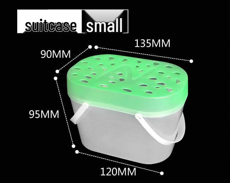 Mini Children s Turtle & Fish Tank with Breeding Box – Portable Plastic Tadpole Habitat