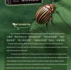 Insect World Mysteries: Genuine Hardcover Encyclopedia of Insects