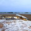 July Hawaiian Jewelry Ring with Scroll and Cubic Zirconia Stones, Men's and Women's, Hypoallergenic, Surgical Stainless Steel, Size 5