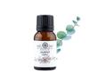 Yasmeen - Scent of the Orient Cajeput Essential Oil 15 Ml