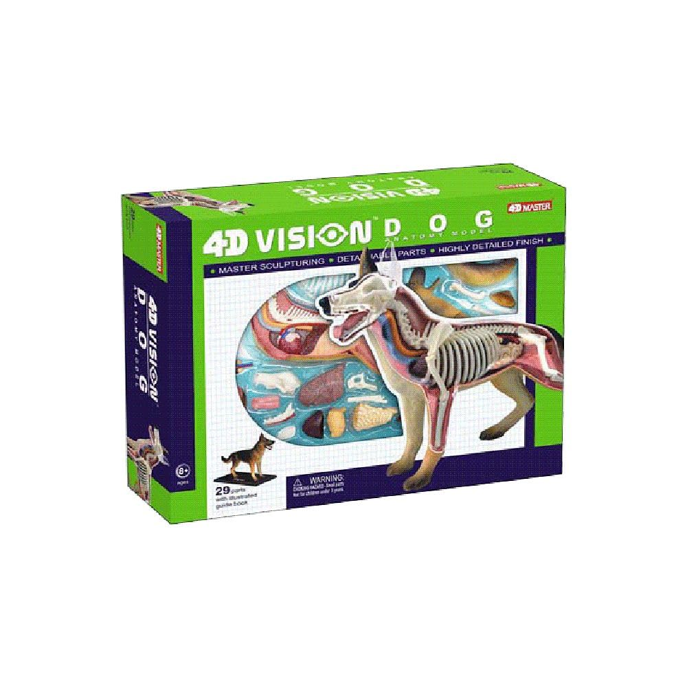Tedco 4D Vision Dog Anatomy Science Educational 3D Free Study School Entrance Gift Model, Toy, Toy, Puzzle, Kit,