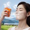 Portable Nano Facial Mister 30ML Mini Facial Steamer USB Rechargeable Electric Sprayer for Face Hydrating Daily Makeup