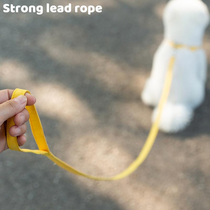 Winter Warm Adjustable Dog Harness for Small Dogs Cute Sunflower Dog Harness with Leash Cat Pet Vest Chihuahua Dog Accessories