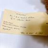 [USED] Teddy bear stuffed animal, made overseas, antique, handmade