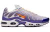 Nike Air Max Plus Color Flip Pack Grape CI5924-531
