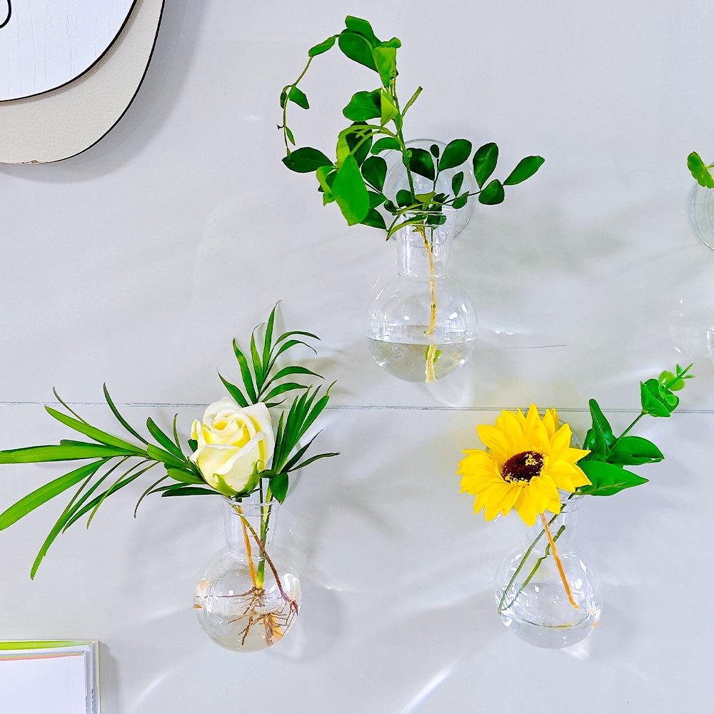 Transparent Wall-Mounted Hydroponic Plant Vase with Suction Cup Hook for Pothos - Small Hanging Eco-Bottle Container