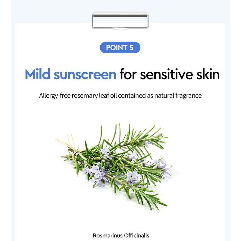 DEWYTREE - Urban Shade Moisture Repair Sun