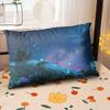 Starry Sky Sunset Sea Pillow,2D Night Scene Pillow Core and Case Set,Aesthetic Pillow for Student Dormitory