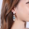 Lindon Copper Alloy Zircon Earrings Drop Earrings For Women Wedding Party Gifts