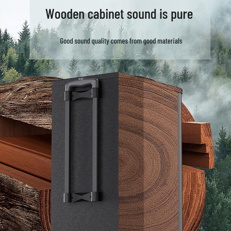 Huidu WDA-1200 Portable Outdoor Karaoke Speaker