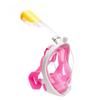 Full Face Snorkel Mask