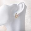 Versatile Glossy U-Shaped Oval Ear Clips - Trendy Unisex Korean Style Earrings