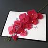 Long Stem 9-Head Phalaenopsis Orchid Artificial Floral Decoration for Weddings and Home