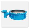 Large Diameter Soft Seal Rubber Flanged Butterfly Valve for Industrial Pipeline and Water Treatment