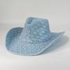 Western Denim Cowboy Hat For Women Men Felt Wide Brim Cowboy Cowgirl Hat For Party Costume Dress Up Cosplay Cowboy Hat