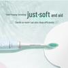 Philips HX2422 Sonic Electric Toothbrush CN Plug (adapter Included)