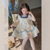 Vintage Embroidery Square Neck Girls Sundress, Ruffle Flutter Sleeveless Shiny Flowy A-Line Kids Summer Dress