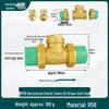 Brass Check Valve: PPR 20 4-point, 25 6-point, 1 Inch 32 Hot Melt Horizontal One-way Anti-backflow Water Pipe.