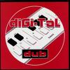 LP-Schallplatte CONSCIOUS SOUNDS Digital Dub DIGISC03 Digikal UK 2016 UK Reggae Ska Dub