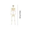 Halloween Skeleton Decorations Movable Halloween Large Skeleton Figurines Outdoor Holiday Decorations For Standing Bathing