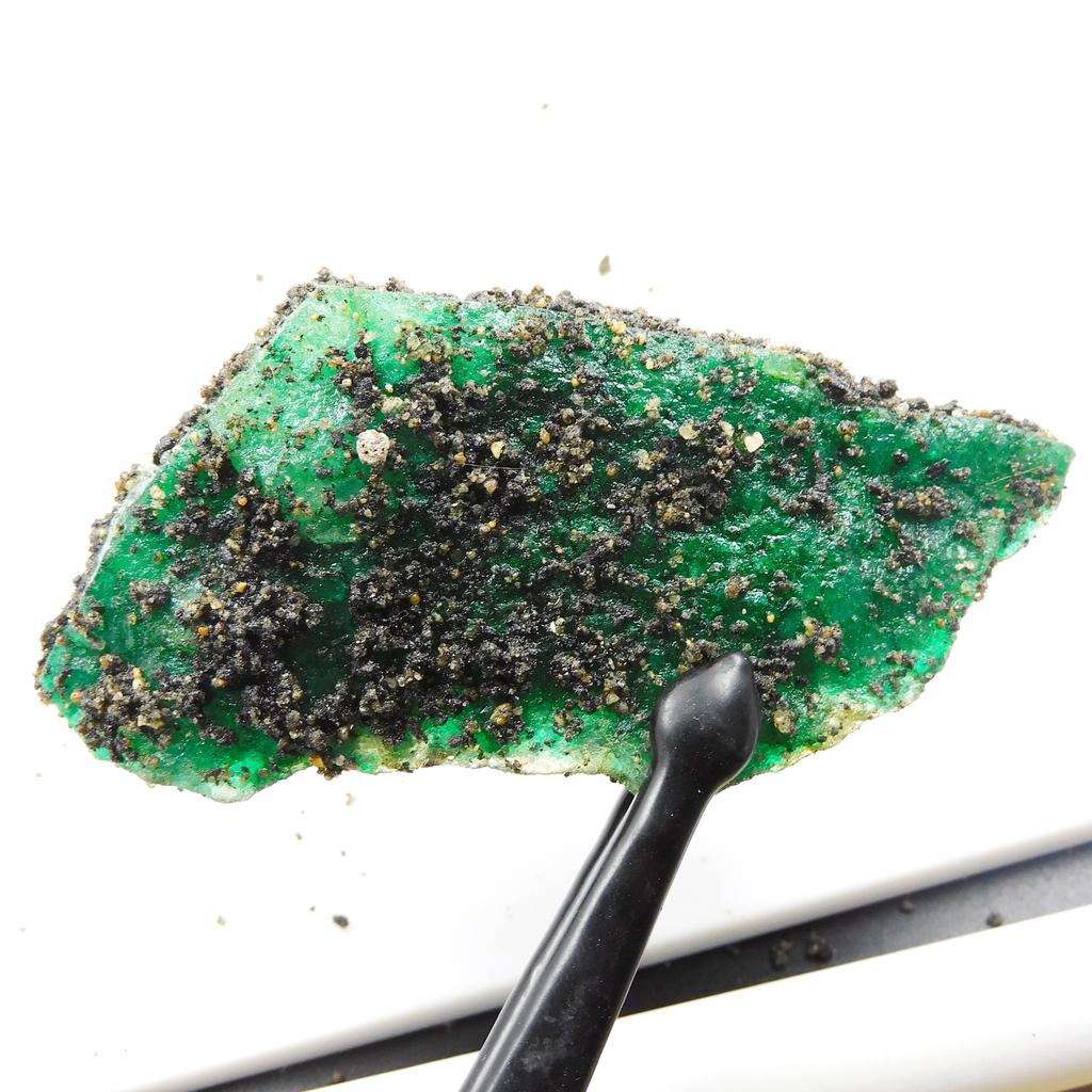 Natural Green Emerald Loose Gemstone Raw Rough 393.10 ct for Lapidary and Gem Collections