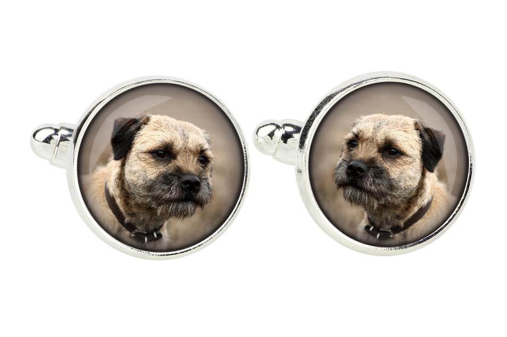 Border Terrier - cufflinks in a box, handmade jewelry, product of the Art-Dog brand