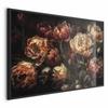 Poster - Blooming Tulips