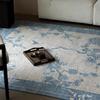 Retro Ethnic Blue Floral Area Rug Soft Non Slip Machine Washable Carpet for Living Room Bedroom Home Decor