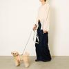 monchéri 2-Way Reflective Star Pattern Dog Leash/IVORY/FREE, Cute, Stylish, Popular Brand, Suitable for Toy Poodles, Chihuahuas, and Small Dogs