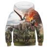Jungen Tier Dinosaurier Hoodie Langarm Herbst Winter Mode Coole Kinder Outdoor Täglich Normale Passform