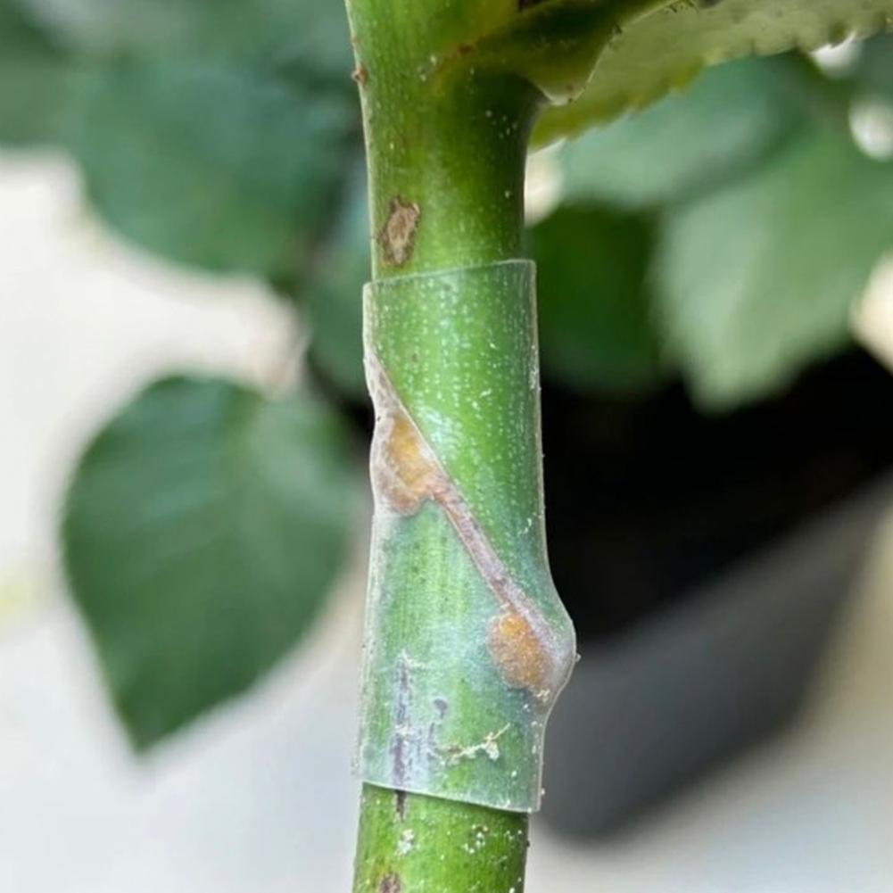 Plant Graft Protector Silicone Grafting Sleeves for Fruit Trees Elastic Thin-walled Grafting Tubes Rapid Plant for Gardening