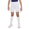 Nike Childrens/Kids 2022/23 France Football Home Shorts