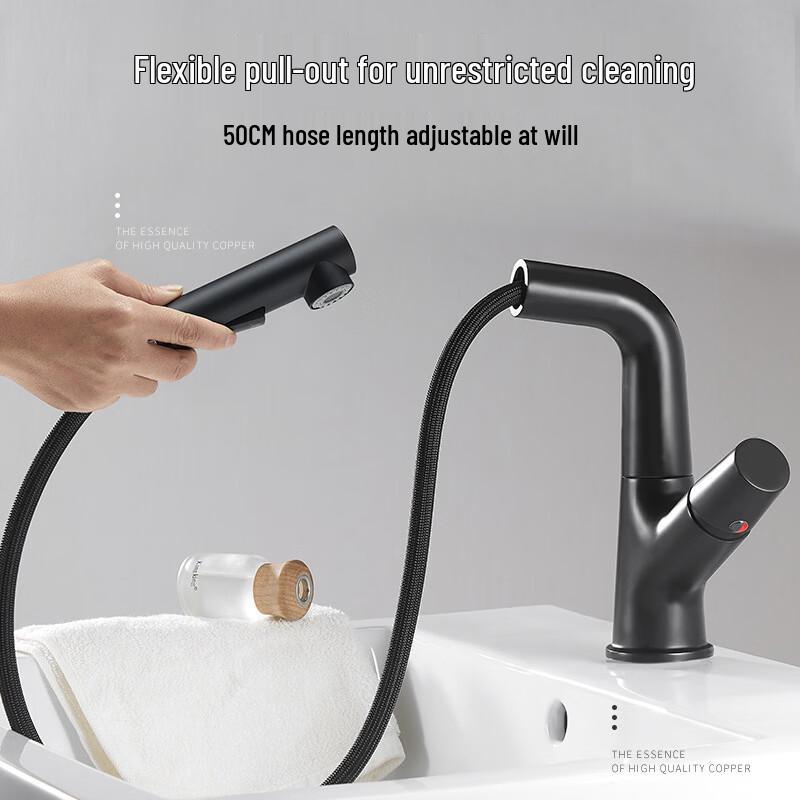 TLXT Multi-Function Hot & Cold Pull-Out Basin Faucet
