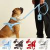 Cães – Colares e correias para cães