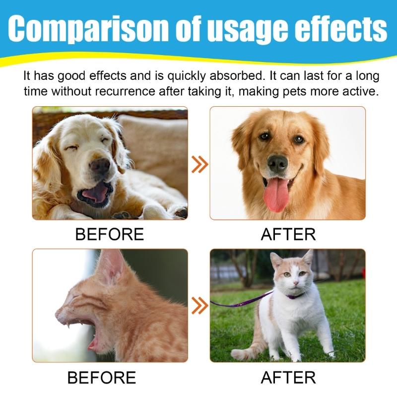 Pet Herbal Drop for Nighttime Cough Relief Safe Natural Formula Cough Throat Symptoms Soothing Calming Essential Oil