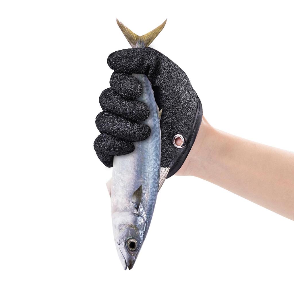 Rever D attraper Un Poisson à La Main
