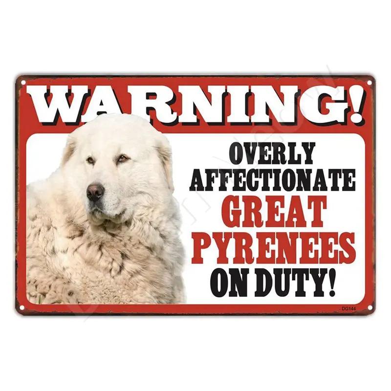 

Border Collie on Duty Retro Tin Sign, Pets Dog Warning Sign, Bulldog Cat Whippet Metal Art Poster, Home Garden Yard Wall Decor 20x30cm