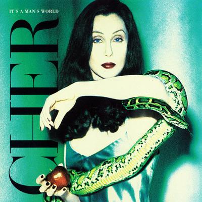 CD CHER  Its A Mans World 0630126702 WEA 1995 Europa Dance  Electronica Gebraucht