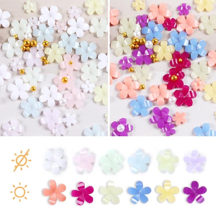 3D Flower Nail Charms, 6 Grids Acrylic Flower DIY Jewelry Craft Decorations