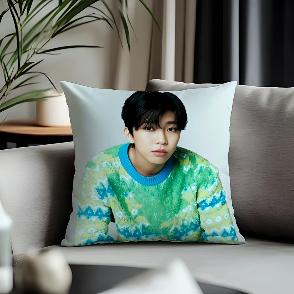 Trending LLlim Young Woonged Cushion Cover Antidustmite Pillowcase Invisible Zipper Silky Short Plush Sofa Cushion Cover