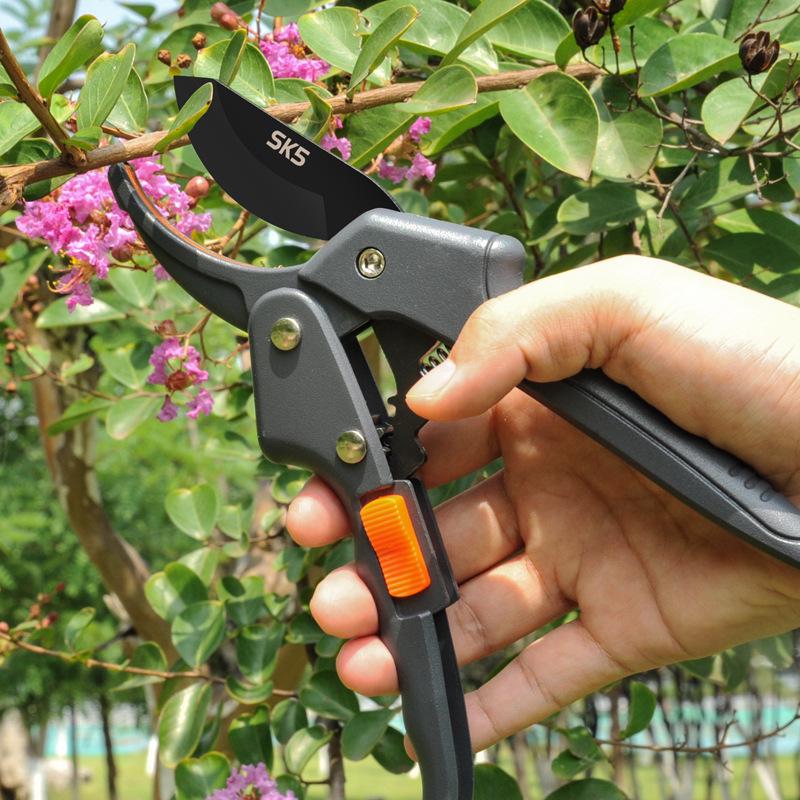 SK5 Stainless Steel Pruning Shears: Multi-Function Garden Scissors for Fruit, Flower, and Tree Care