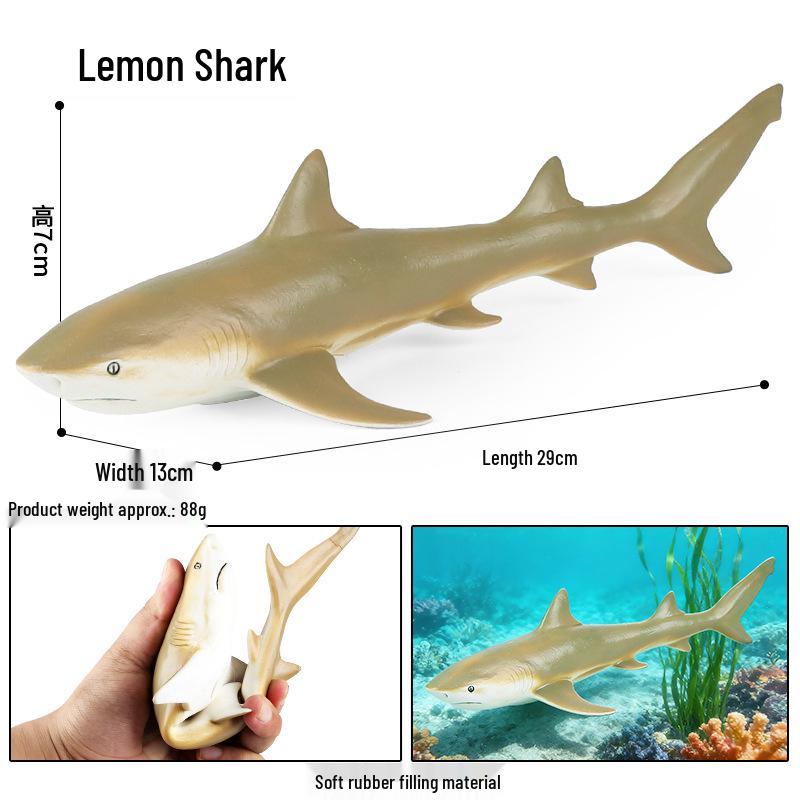 Children's Soft Rubber Marine Animal Toys: Killer Whale, Great White Shark, Beluga, Blue Whale, Dolphin, Sperm Whale Models