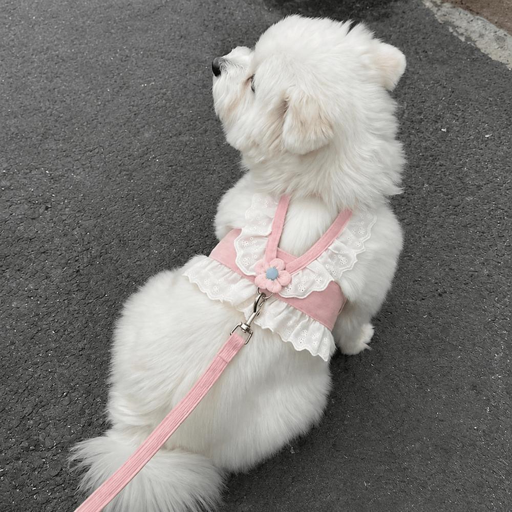 Adjustable Straps Harness And Leash Set Breathable Material Puppy Kitten Harness  Tiny Pets